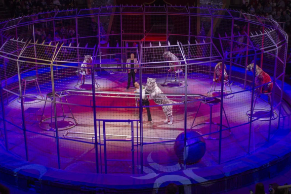 &ZHcy;&icy;&rcy;&acy;&fcy; &shcy;&ocy;&ucy;