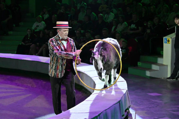 &ZHcy;&icy;&rcy;&acy;&fcy; &shcy;&ocy;&ucy;